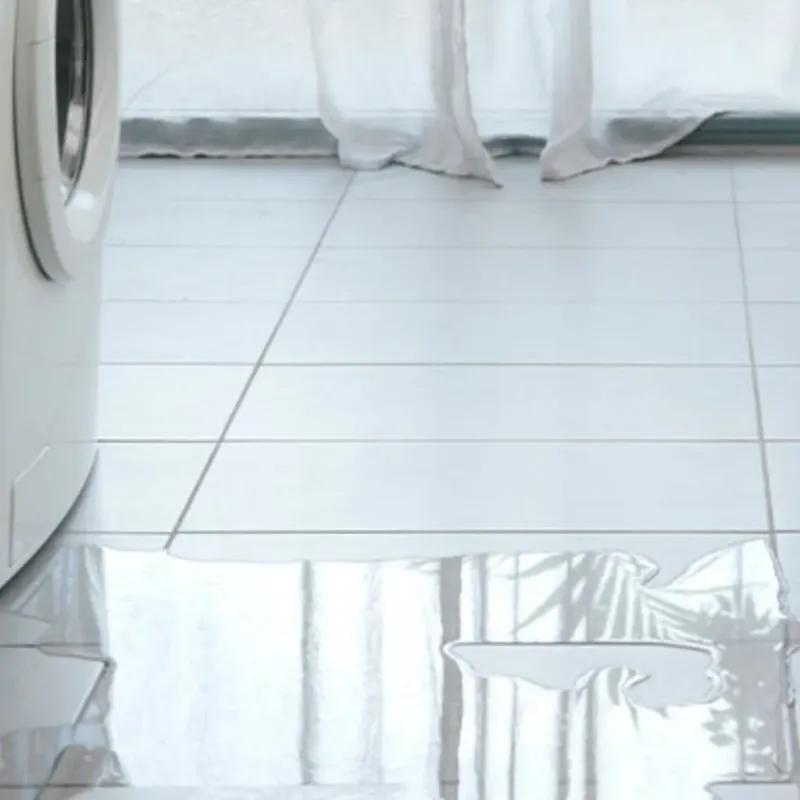 Appliance Leak Cleanup in Louisa, KY