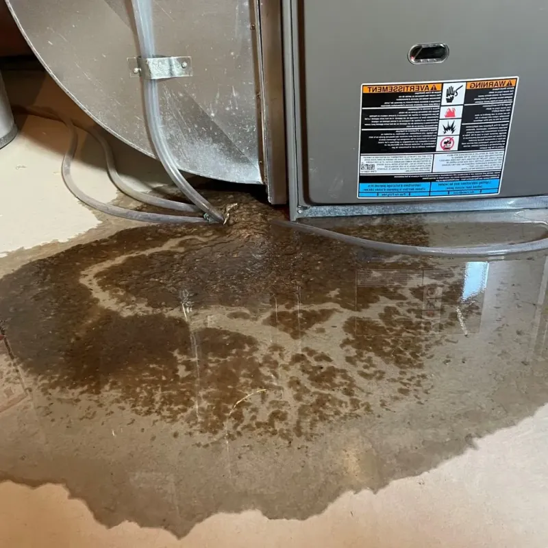 Pipe Burst and Leak Restoration in Louisa, KY